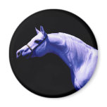 Horse Refrigerator Magnets