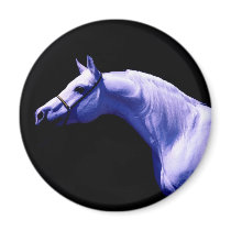 Horse Refrigerator Magnets