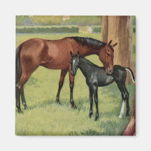 Horse Mare Foal Equestrian Vintage Image Refrigerator Magnets