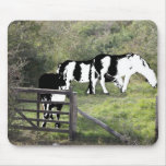 Horse Mat Mousepads