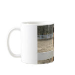 Horse Meets You at the Fence mugs