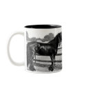 Horse modelling mugs