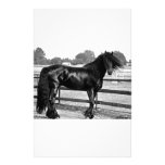 Horse modelling personalised stationery