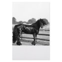Horse modelling stationery