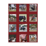 Horse Montage postcards