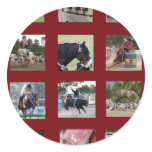 Horse Montage stickers