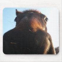 Horse Tapis De Souris