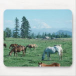 Horse Mousepad