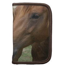 Horse Nuzzle Wallet Folio Planner
