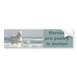 Horse Ocean Beauty Bumper Sticker bumper stickers