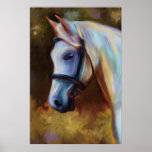 Horse of Colours - Horse painting posters