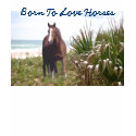 Horse On The Beach T-Shirt Beach