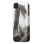Horse Peering Over Fence iPhone 4 Case