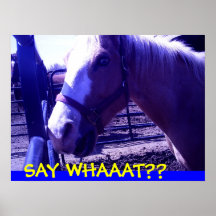 Horse photo posters