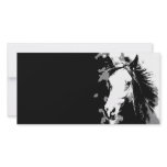 Horse photo cards