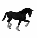 Horse Photo Sculpture