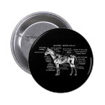 Horse Pinback Buttons