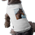 Horse portrait pet clothing