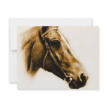 Horse Portrait invitations
