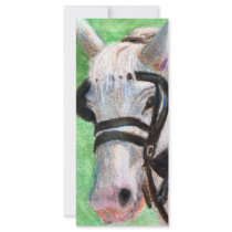 Horse Portrait Rack Card