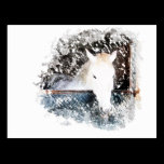 Horse postcards
