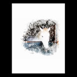 Horse postcards