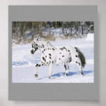 horse poster