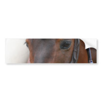 Horse Profile Bumper Stickers