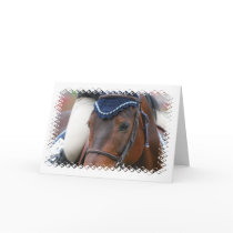 Horse Profile Greeting Cards