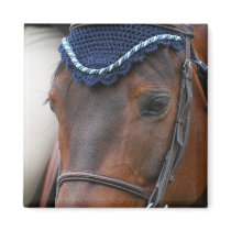Horse Profile Magnet