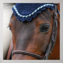 Horse Profile Poster