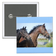 Horse Race Finish Line Pinback Button