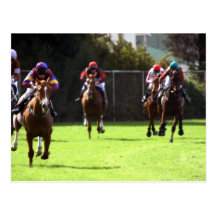Horse Racing Field Postcard