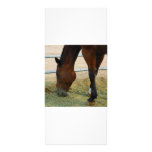 Horse rack cards