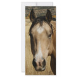 Horse Customized Rack Card