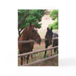 Horse Raspberries cards
