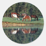 Horse Reflection Stickers