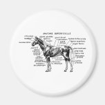 Horse Refrigerator Magnets
