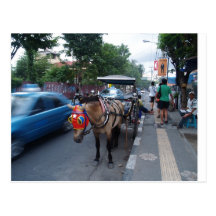 horse ride @ Bali Postcard
