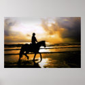 HORSE RIDER ON BEACH posters