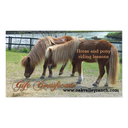 Horse Riding Lessons Gift Certificate Template Pack Of Standard Business Cards Horseback Gift Certificate Template