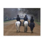 Horse Riding Post Card