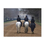 Horse Riding postcards