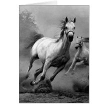 Horse Running Cards