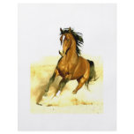 Horse Running flyers