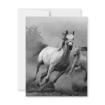 Horse Running Personalized Invite