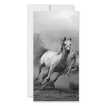 Horse Running Photo Greeting Card