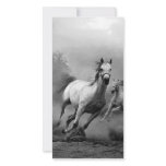 Horse Running photo cards