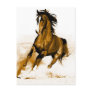 Horse Running Post Card