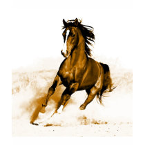Horse Running T-shirt